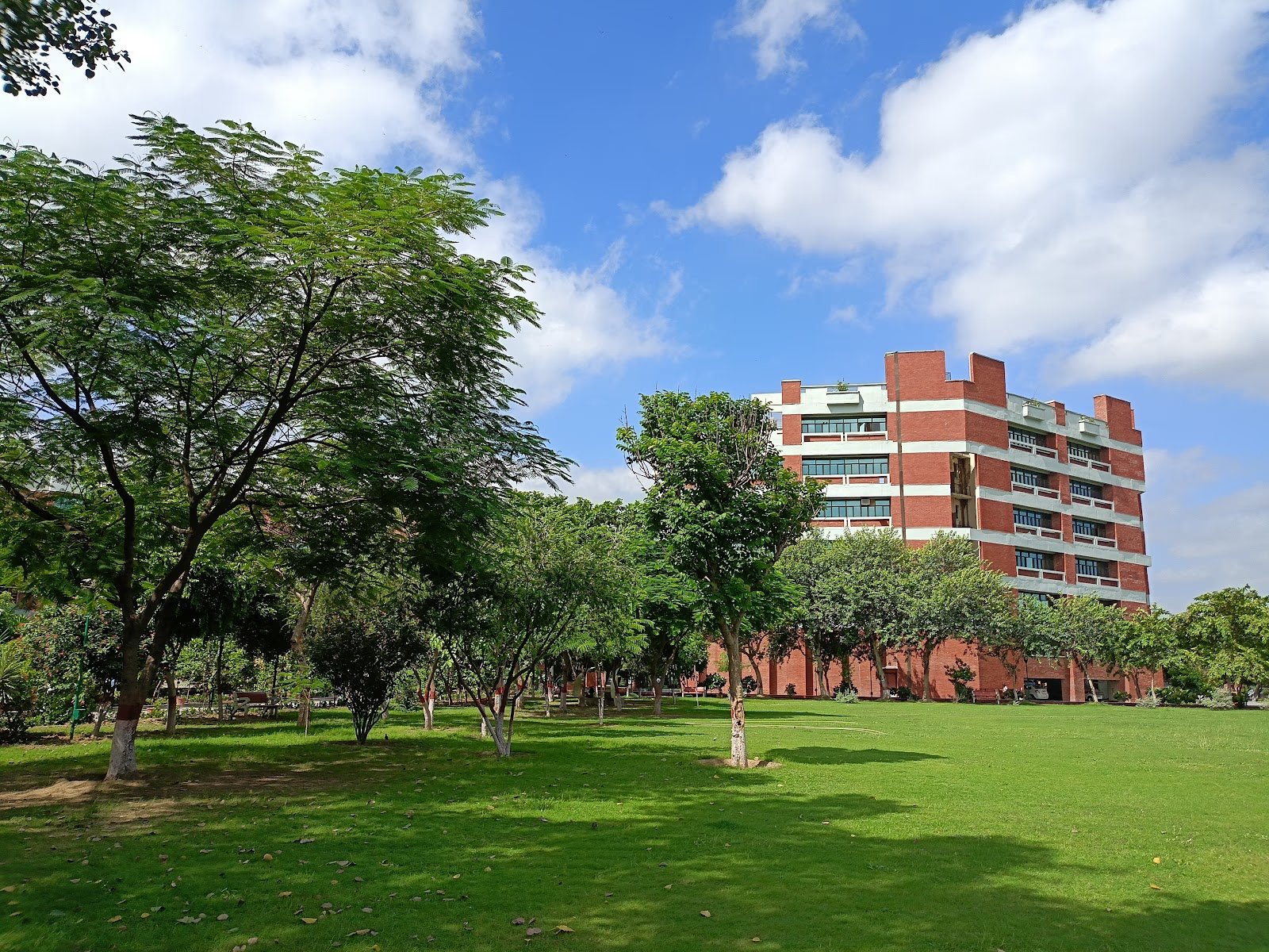 Open spaces around USICT, Dwarka