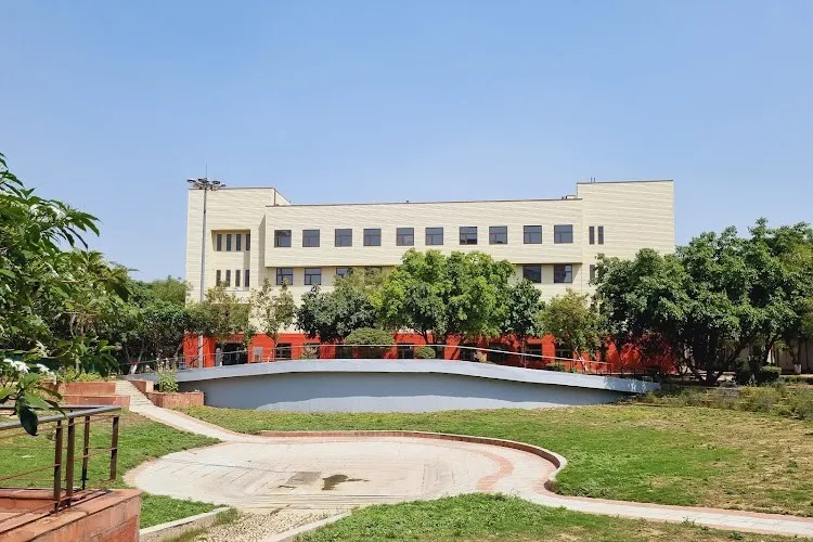 Green corners of GGSIPU, Dwarka